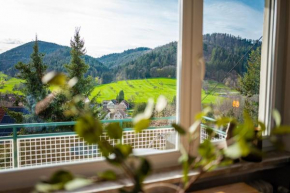 Apartment Schwarzwald Panorama